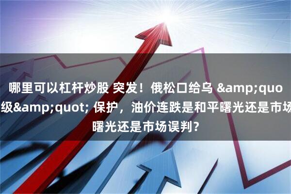 哪里可以杠杆炒股 突发！俄松口给乌 "北约级" 保护，油价连跌是和平曙光还是市场误判？